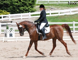 NixxTerrydressage2wp.jpg (34048 bytes)